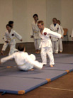 Selbstverteidigung/Fallschule